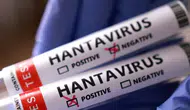 Sağlık Bakanlığı’ndan Hantavirüs Açıklaması!