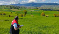Amasya’da Yem Bitkisi Kontrolleri Sürüyor
