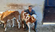Amasya DSYB’nin Projesi Sonuç Verdi!