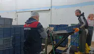 Amasya’dan Avrupa’ya Salyangoz İhracatı