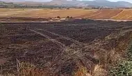 Doluca Köyü'nde Arazi Yangını! Ekili Alan Kül Oldu