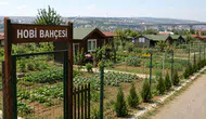 Hobi Bahçesi Dönemi Bitiyor! Yeni Yasak Resmen Yürürlükte