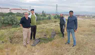 Merzifon’da Çöplük Cennete Dönüşüyor!