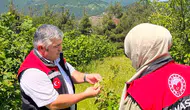 Amasya’da Fındık Bahçeleri Mercek Altında!