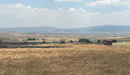 Merzifon’da Ekili Arazide Yangın Paniği! İtfaiye Faciayı Önledi