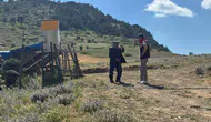Suluova'da Yaylalarda Mera Denetimi! Ekipler Sahaya İndi