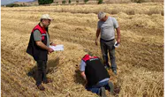 Gümüşhacıköy'de Biçerdöver Denetimleri Sıkılaştı!