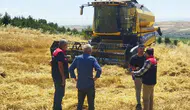 Taşova'da Dane Kayıplarına Karşı Tam Mesai