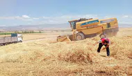 Merzifon'da Biçerdöver Denetimleri Sürüyor