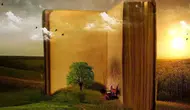 Rüyada Kitap Görmek Ne Anlama Gelir? İşte Merak Edilen Tüm Yorumlar