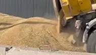 Amasya DSYB'den Yem Üretiminde Kalite Atağı
