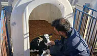 Amasya DSYB’den Anlık Kayıt Hamlesi!