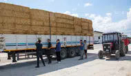 Amasya DSYB’den Üreticiye Yem Güvencesi!