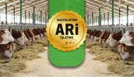 Hastalıktan Ari İşletmelerde Yeni Dönem!