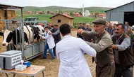 Çorum'da Hayvan Aşılama Ekibine Çirkin Saldırı!