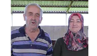 Amasya’da İthal Hayvanlara Yakın Takip!