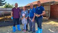 Amasya'da Üretici 10 Gebe Düveyle Üretime Güç Kattı! İşte Başarı Hikayesi