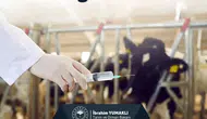 Çiftçilere 688 Milyon TL’lik Tarımsal Destek