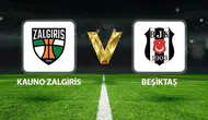 Beşiktaş UEFA Avrupa Ligi'nde!