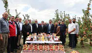 Amasya’nın Misketinde İlk Hasat!