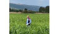 Amasya’da 460 Dekarlık Alanda Hasat Başladı