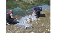 Amasya Göletlerine 200 Bin Sazan Yavrusu