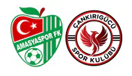 Amasyaspor FK Kupada Çankırıgücü’nü Ağırlayacak!