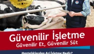 Amasya’da Hayvancılık Güvenilir