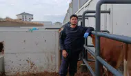 Amasya’da Hayvancılığa Genetik Dokunuş