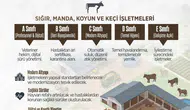 Merzifon’da Hayvancılıkta Yeni Dönem!