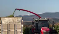 Amasya’da Mısır Hasadında Büyük Verim!