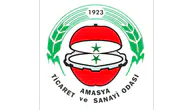 Amasya TSO’da Başkanlık İçin Sandık Başına Gidildi