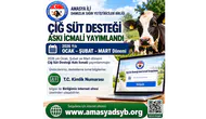 Amasya’da Süt Üreticilerine Destek Müjdesi!