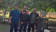 Hamamözü’nde Ceviz Hasadı Devam Ediyor