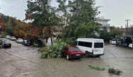 Fırtına çatıları uçurdu, ağaçları devirdi