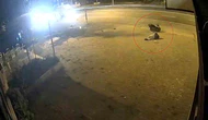 Motosiklet Levhaya Çarptı: 17 Yaşındaki Sürücü Yaralandı