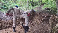 Kimlik Başvurusu Yapmayınca Cinayet Şüphesi Ortaya Çıktı!