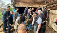 Ahır Faciası: Enkaz Altında Kalan Kadın Ağır Yaralandı