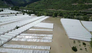 Amasya’da Taşkın Felaketi! Binlerce Dekar Tarım Arazisi Sular Altında Kaldı
