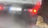 Köpek Dehşetinde Yeni Gelişme: Gözaltına Alındı