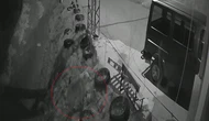 Ayı Köye İndi: Güvenlik Kamerası Anbean Kaydetti