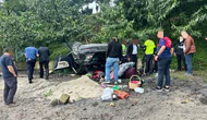 Kediyi Kurtarmak İsterken Kaza Yaptı