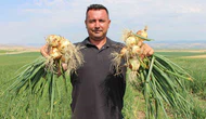 Amasya’da soğan bir bardak çaydan bile ucuz