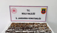Yabani Salep Toplayanlara Rekor Ceza