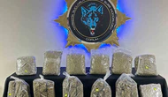 Çorum’da 9 kilo skunk ele geçirildi: 1 tutuklama