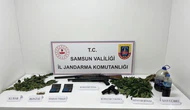 Uyuşturucu Operasyonu! Kenevir, Esrar ve Silah Ele Geçirildi