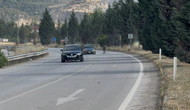 Başıboş Eşek Sürücülere Zor Anlar Yaşattı