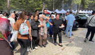 Ağaçtan Kopan Dal Yaşlı Kadını Yaraladı