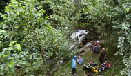 Kamyonet Fındık Bahçesine Yuvarlandı! 1 Ölü, 6 Yaralı