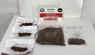 Narkotik Operasyonu! Binlerce Uyuşturucu Hap Ele Geçirildi